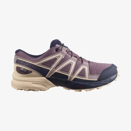 Zapatillas Trail Running Salomon SPEEDCROSS CLIMASALOMON WATERPROOF Niños Lavanda (ES-AKDY)
